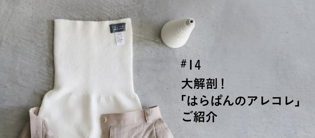 大解剖！「はらぱんのアレコレ」ご紹介