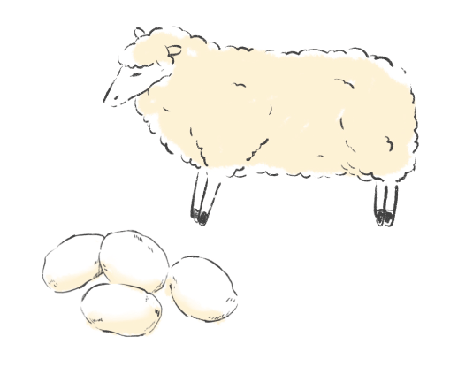 天然素材へのこだわり 肌に触れるものはシルク